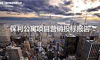 世联行-苏州保利国际公寓项目营销提报技术标【pdf】