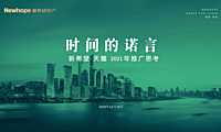 2021新希望天麓年度推广方案【pdf】