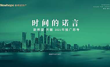 2021新希望天麓年度推广方案【pdf】