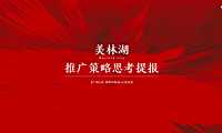 2021美林湖推广策略提报方案【pdf】
