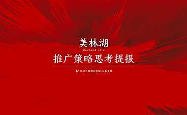2021美林湖推广策略提报方案【pdf】