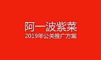 阿一波紫菜公关推广方案【pdf】