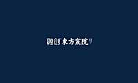 2021融创东方宸院视觉提报方案