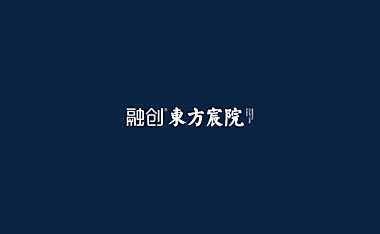 2021融创东方宸院视觉提报方案