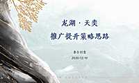 青岛龙湖天奕推广策略思路方案（豪宅）【pdf】