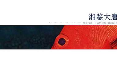 2021大唐印象年度推广方案