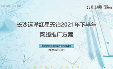 2021红星天铂下半年网络推广方案【pdf】