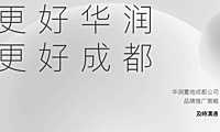 及时沟通2021华润品牌（成都）推广策略【pdf】