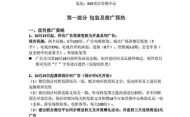 开盘方案及流程【pdf】