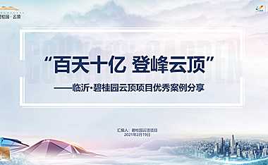 二等奖：【鲁南区域】百天十亿 登峰云顶【pdf】