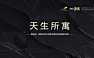 碧桂园 · 领寓百样生活发布暨百变智能科技秀策划案53p【pdf】