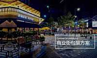 佳源商业包装方案【pdf】