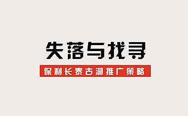 保利长泰古湖推广思考(提案版）【pdf】
