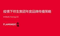 红鹤-疫情下祥生集团年度品牌传播策略【pptx】
