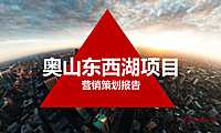 奥山东西湖项目提案稿