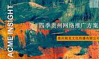 房地产网络推广方案【pdf】