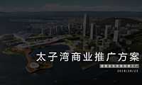 深圳太子湾商业项目推广方案【pdf】