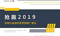 大麦传播-武汉孔雀城年度推广提报【pdf】