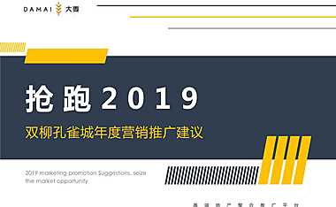 大麦传播-武汉孔雀城年度推广提报【pdf】