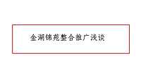 2021金海锦院整合推广提报方案【pdf】