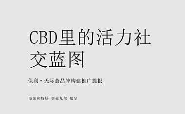 保利商业广场品牌构建推广策略方案122p【pdf】