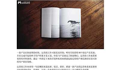 如何制定一款产品的运营策略？（以樊登读书为例）.pdf