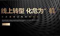 2020多渠道后疫情时代（线上转型 化危为”机“主题）商业营销策划方案-115P【pdf】