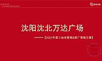 2021沈阳沈北万达广场小高层商业整合推广案【pdf】