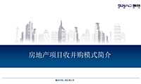 收并购业务专篇——收并购模式【pdf】