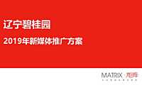 20220531-辽宁碧桂园年度新体推广炒作方案w【pdf】