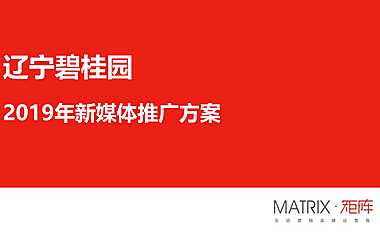 20220531-辽宁碧桂园年度新体推广炒作方案w【pdf】