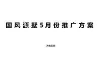 世茂·国风源墅5月推广方案【pptx】