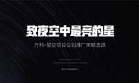 推广策略——万科星空LOFT公寓故事线推广【pdf】