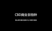 广州4A金燕达观-保利集成金融中心2020战略传播案