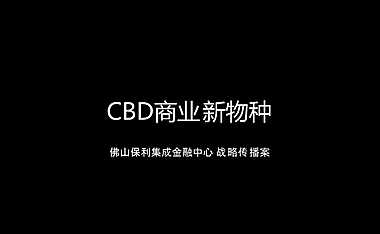 广州4A金燕达观-保利集成金融中心2020战略传播案