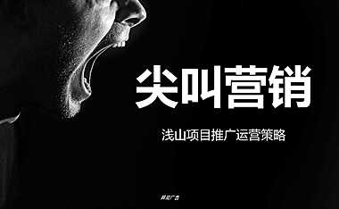 2022文旅项目策略提报方案【pdf】