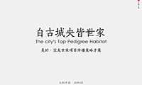 大料中国-美的·宝龙世家年度提报方案【pdf】