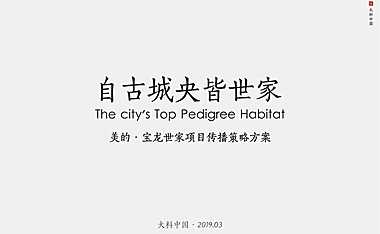 大料中国-美的·宝龙世家年度提报方案【pdf】