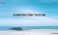 2021龙湾壹号院7月推广执行方案【pdf】