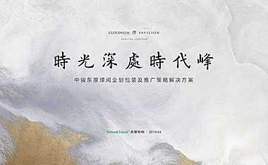 中骏南京龙潭推广策略提报【pdf】