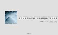 2022上海博加-武汉南山·领峯推广策略163页【pdf】