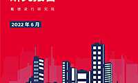 2022.6中国住房租赁市场研究报告-戴德梁行【pdf】