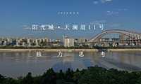 2022大平层项目年度策略方案【pdf】