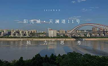 2022大平层项目年度策略方案【pdf】