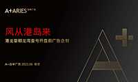 2021龙湾壹号开盘前推广方案【pdf】