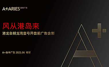 2021龙湾壹号开盘前推广方案【pdf】