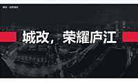 合肥庐江城改项目市场及营销策略方案【pdf】
