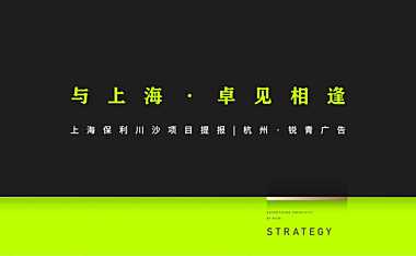 2021保利上海川沙项目推广提报方案【pdf】