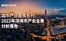 2022年深圳市产业全景分析报告-110页【pdf】
