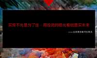 2021北京世嘉广告-中建北京台湖项目广告提报-120P【pdf】